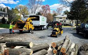 Best Leaf Removal  in Sweetser, IN